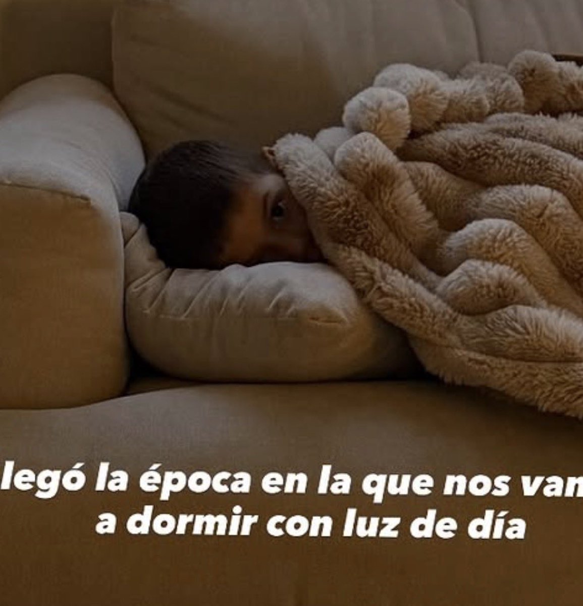 Silvio con moñito 🎀 tweet media
