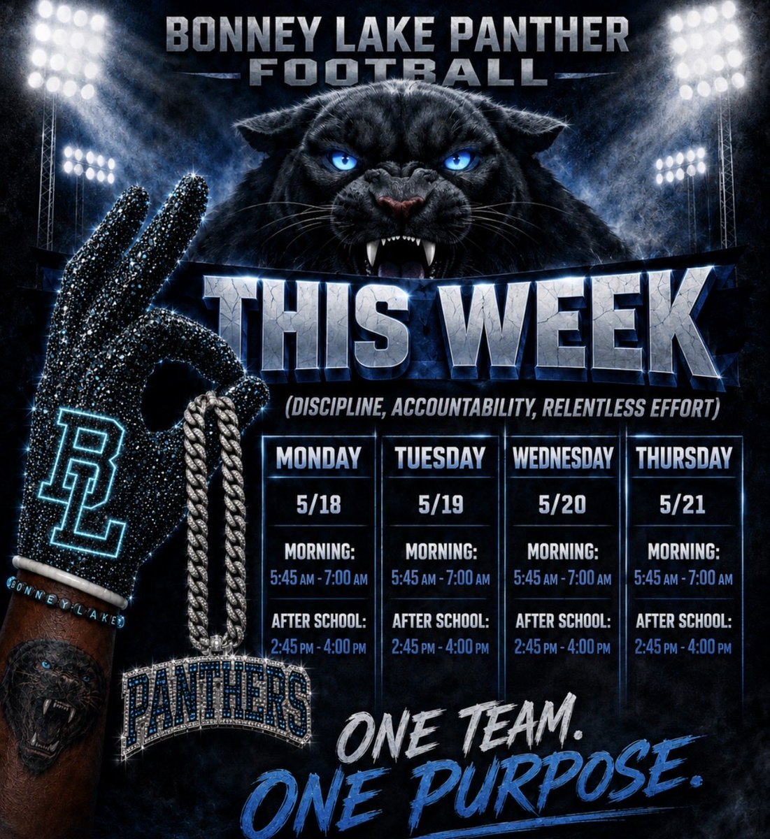 CoachBruce_BLFB's tweet photo. 2 weeks til go time #GoPanthers #TheHill https://t.co/SgDiEGg8Y1