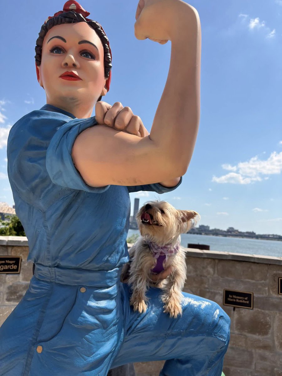 GoSoIN's tweet photo. History adventures are better with a dog copilot. 💙🐾🇺🇸🦬

Craig and Maggie spent the weekend exploring stops along the Historic SoIN: Red, White and Billie passport. Sign up for your FREE passport today. https://t.co/nQSKHWQcrf

📸: Craig Alex Martorana

#GoSoIN https://t.co/6x3iUoPlxw