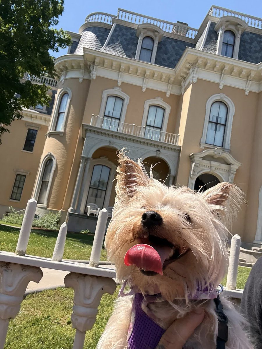 GoSoIN's tweet photo. History adventures are better with a dog copilot. 💙🐾🇺🇸🦬

Craig and Maggie spent the weekend exploring stops along the Historic SoIN: Red, White and Billie passport. Sign up for your FREE passport today. https://t.co/nQSKHWQcrf

📸: Craig Alex Martorana

#GoSoIN https://t.co/6x3iUoPlxw