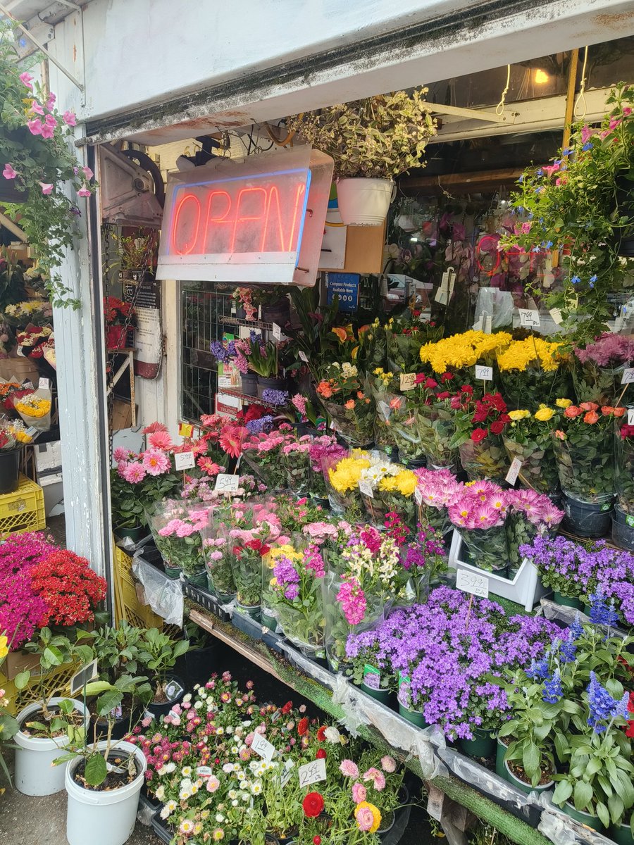 lapideptus's tweet photo. recent vancouver trip 🥹🌸💐 https://t.co/OgQ74n3T6u