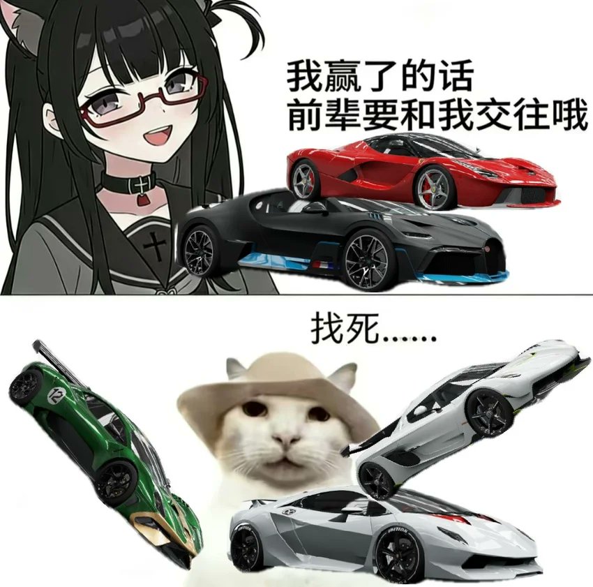 多子 tweet media