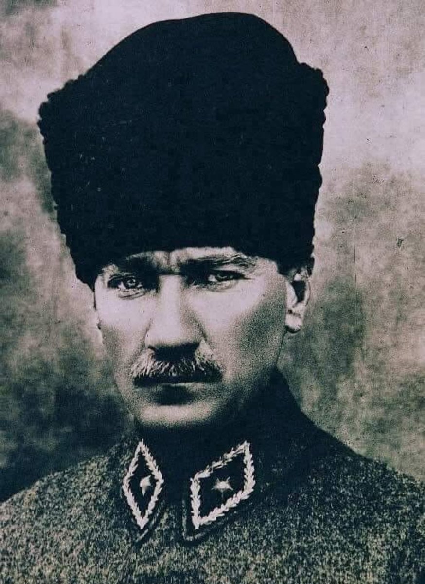 Oktay Zingal tweet media