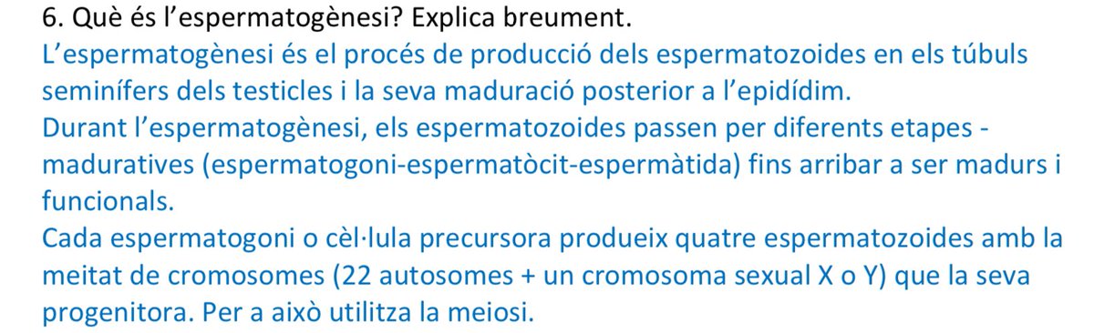 nles121's tweet photo. Pov: “Explica breument”
Breument: https://t.co/vD4uPDImDb