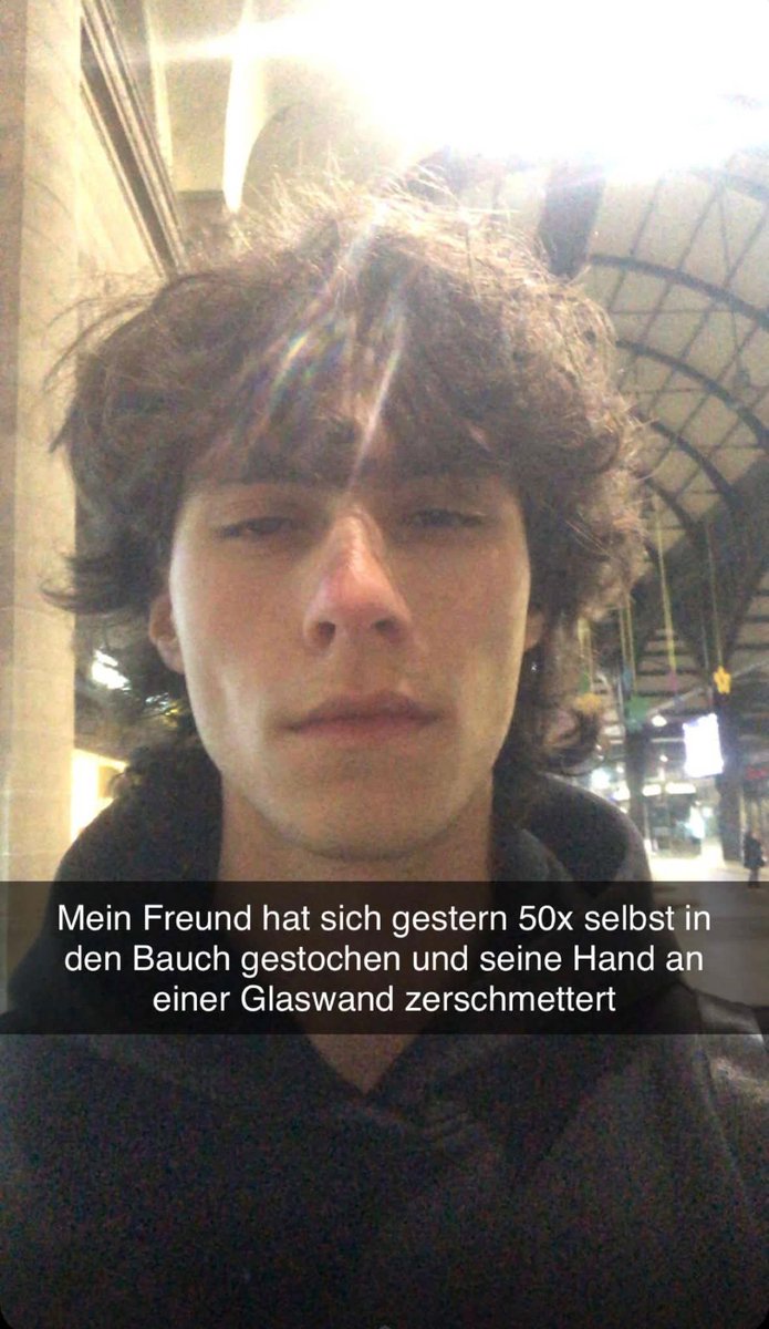 herman führerschein tweet media