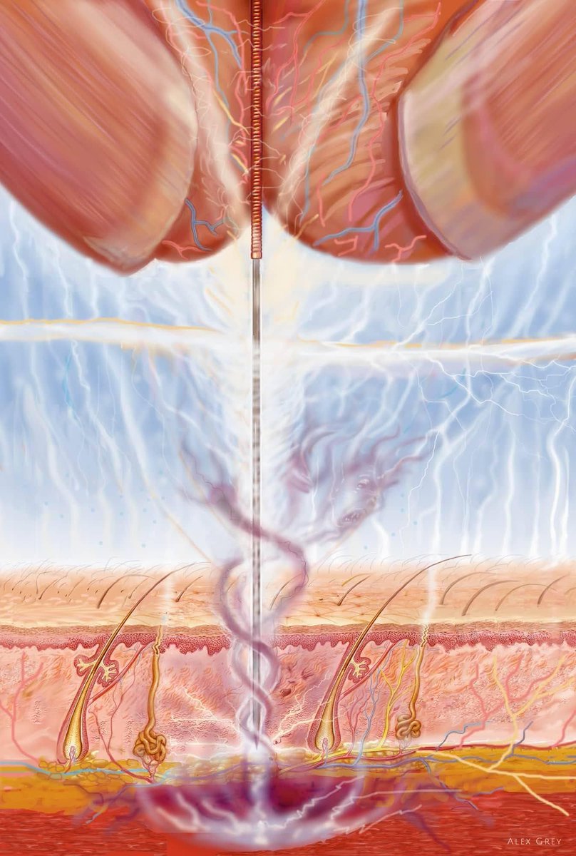 Alex Grey tweet media