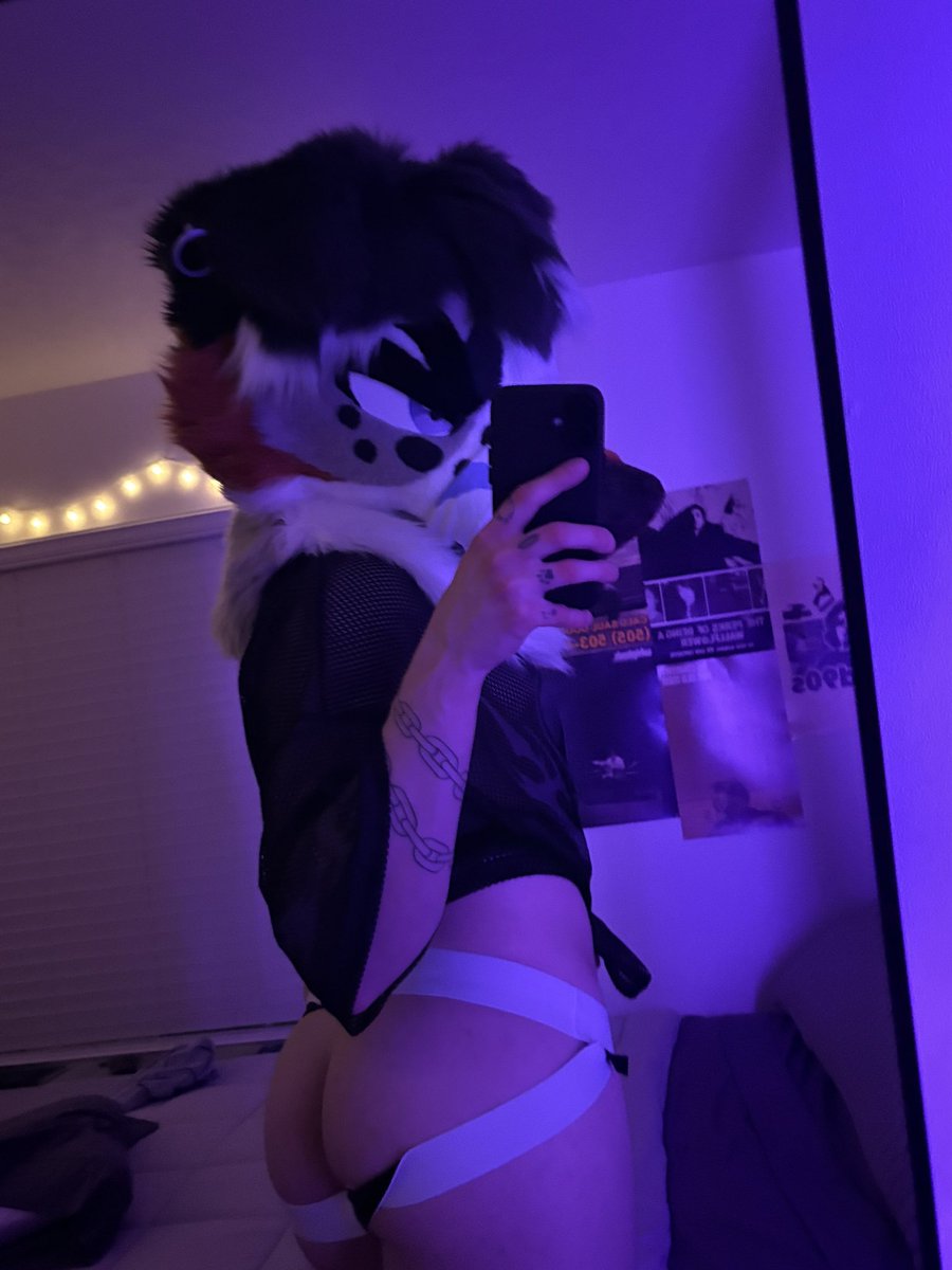 salivatingteeth's tweet photo. heavy squats 👻

#fursuit #furry https://t.co/iG3WS4Tn8M