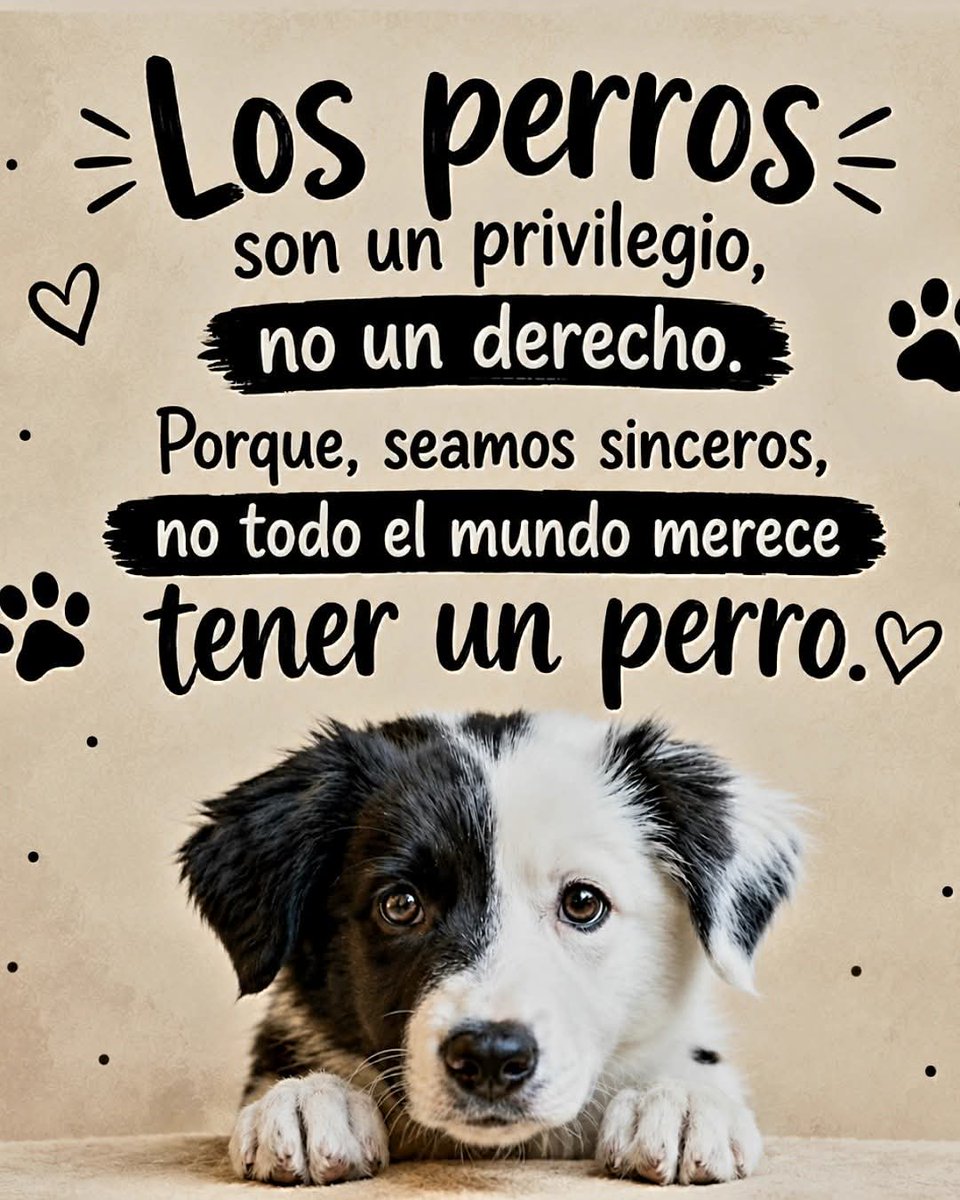 guatexanimales2's tweet photo. https://t.co/NAsfuHLsWN