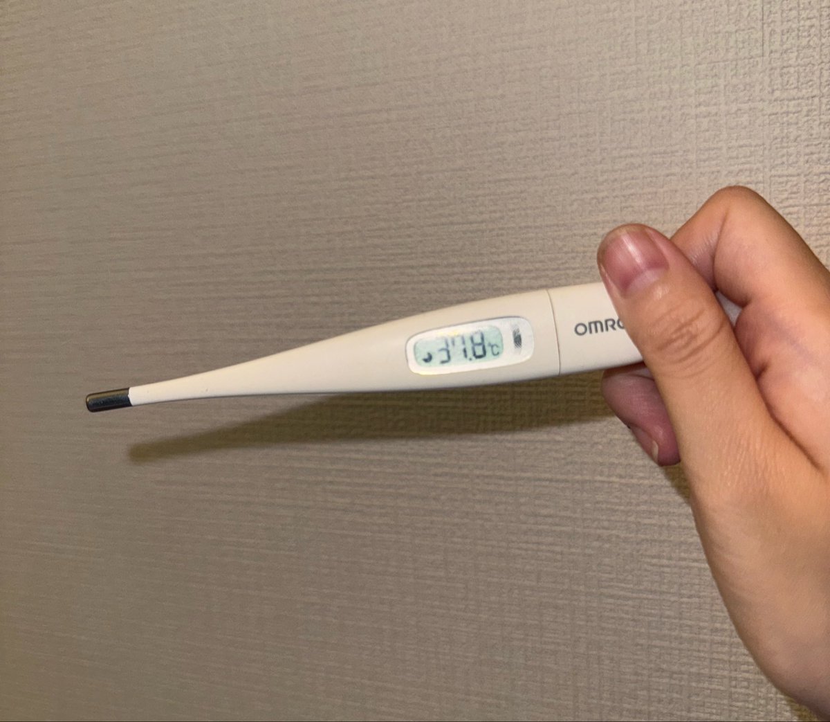 まなか現実逃避中【めりあのぷるぷ】 tweet media