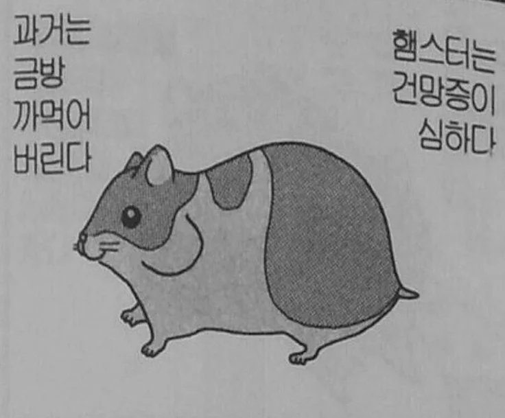 나는뵤 (계이중,저의무멘팔을받아주세요) tweet media