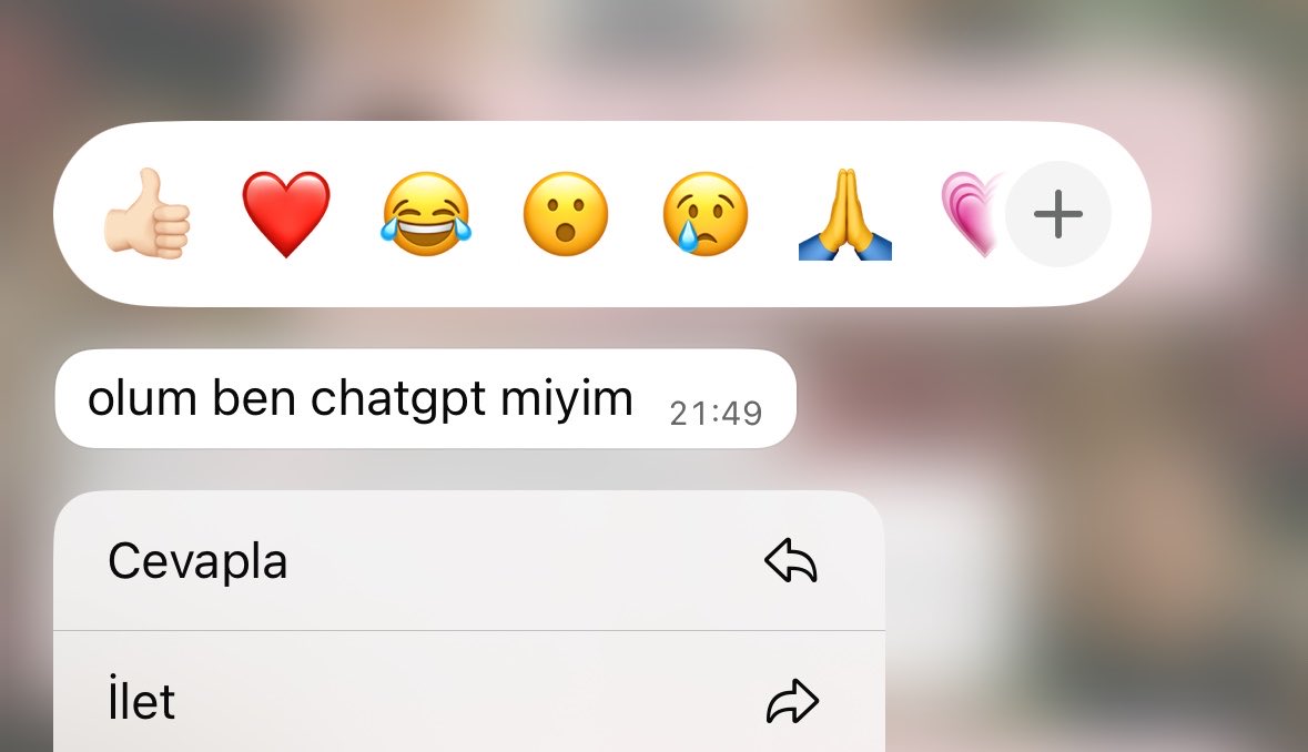 sıla tweet media