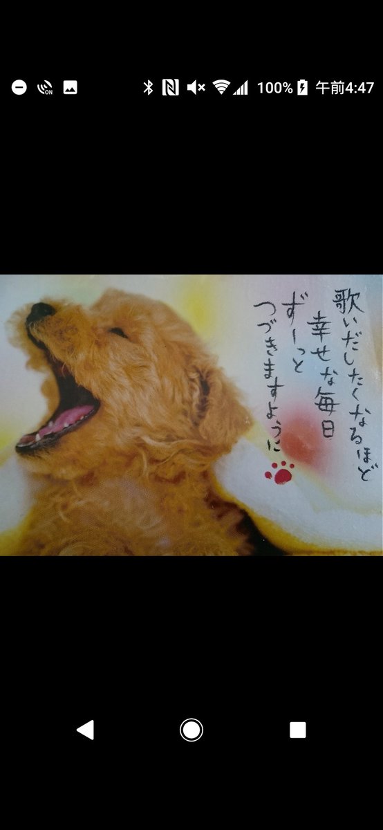 それなりの......かっちんです~🎵😊 tweet media