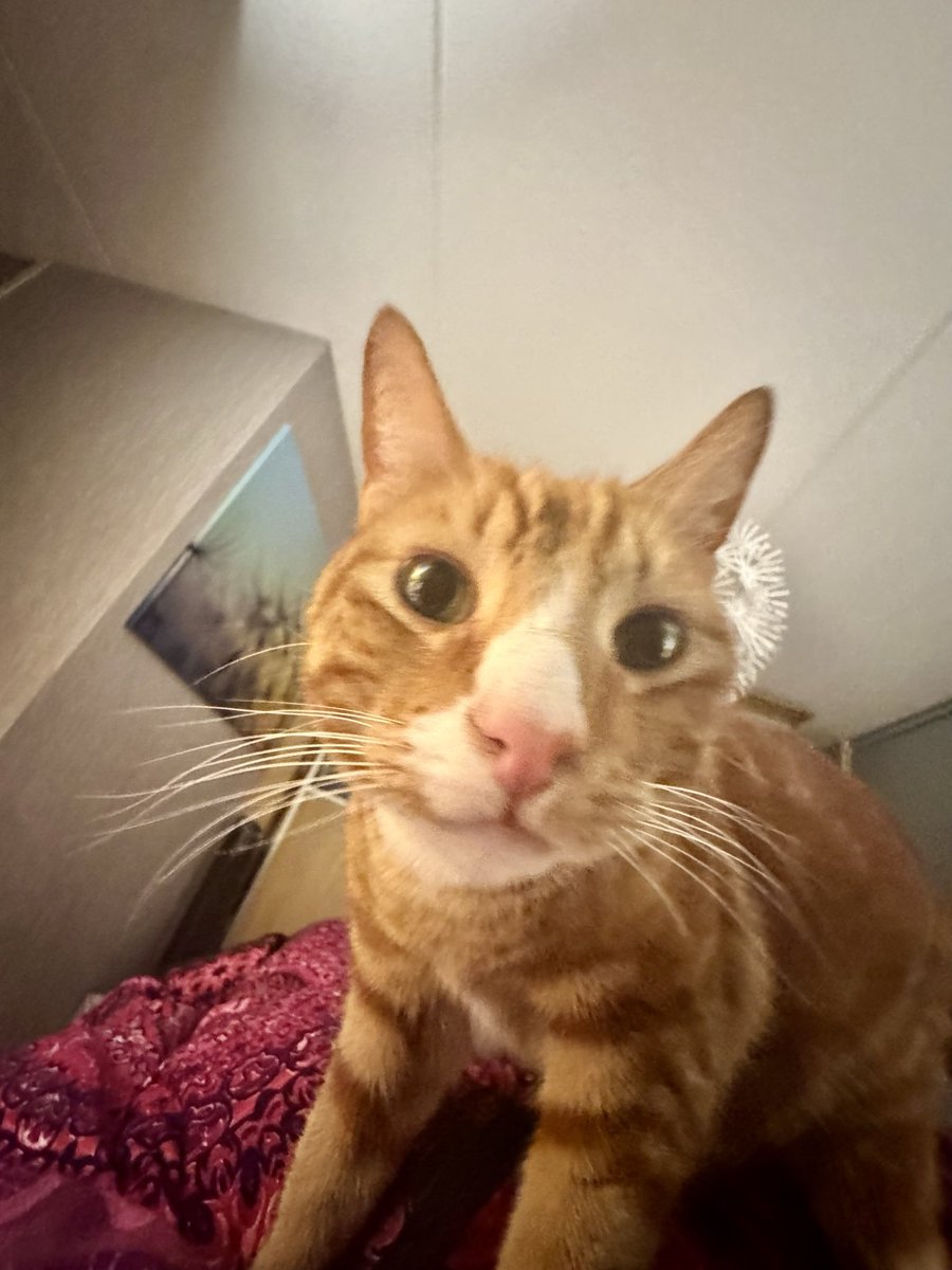 RedHairTuKr tweet media