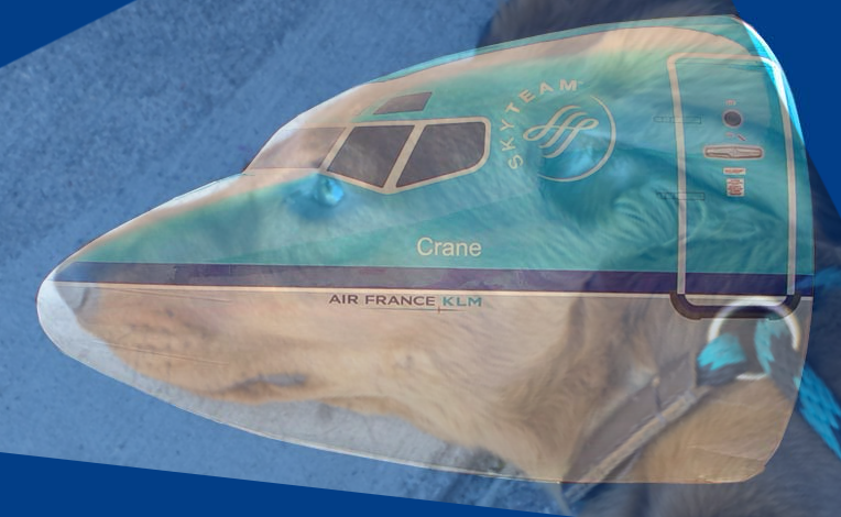 Terminallyyy's tweet photo. @Reeser_Rat Very aerodynamic creature https://t.co/ysa3wJq25M