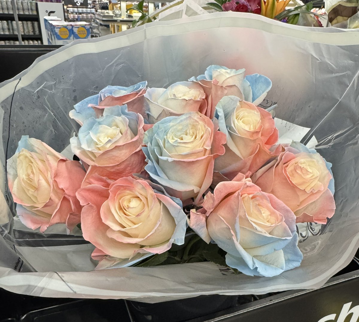 gena74366's tweet photo. Stop and smell the flowers. Enjoy the little moments. Life is short https://t.co/XI44AgyfYT