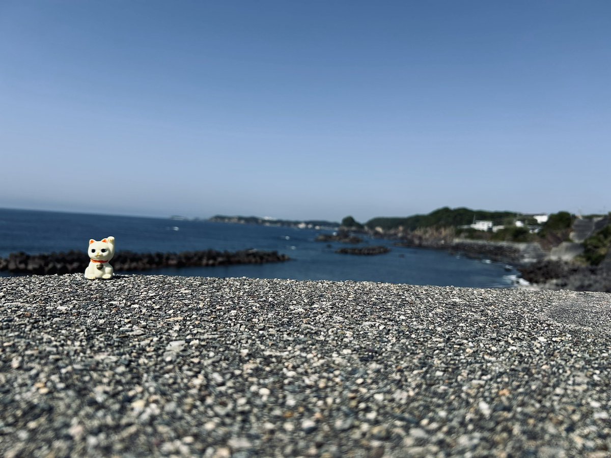 kawboyak's tweet photo. 「命の洗濯」
その⑤大王崎隠れヌコ特集
去年からレイアウトが変わってる所もありました。
#ヌコ民宿 https://t.co/sEQZlqayrZ