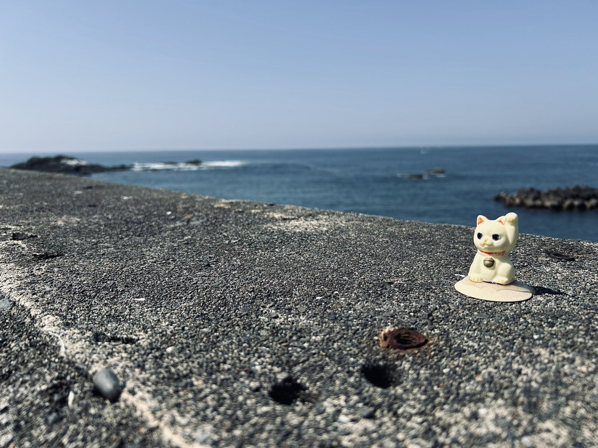 kawboyak's tweet photo. 「命の洗濯」
その⑤大王崎隠れヌコ特集
去年からレイアウトが変わってる所もありました。
#ヌコ民宿 https://t.co/sEQZlqayrZ