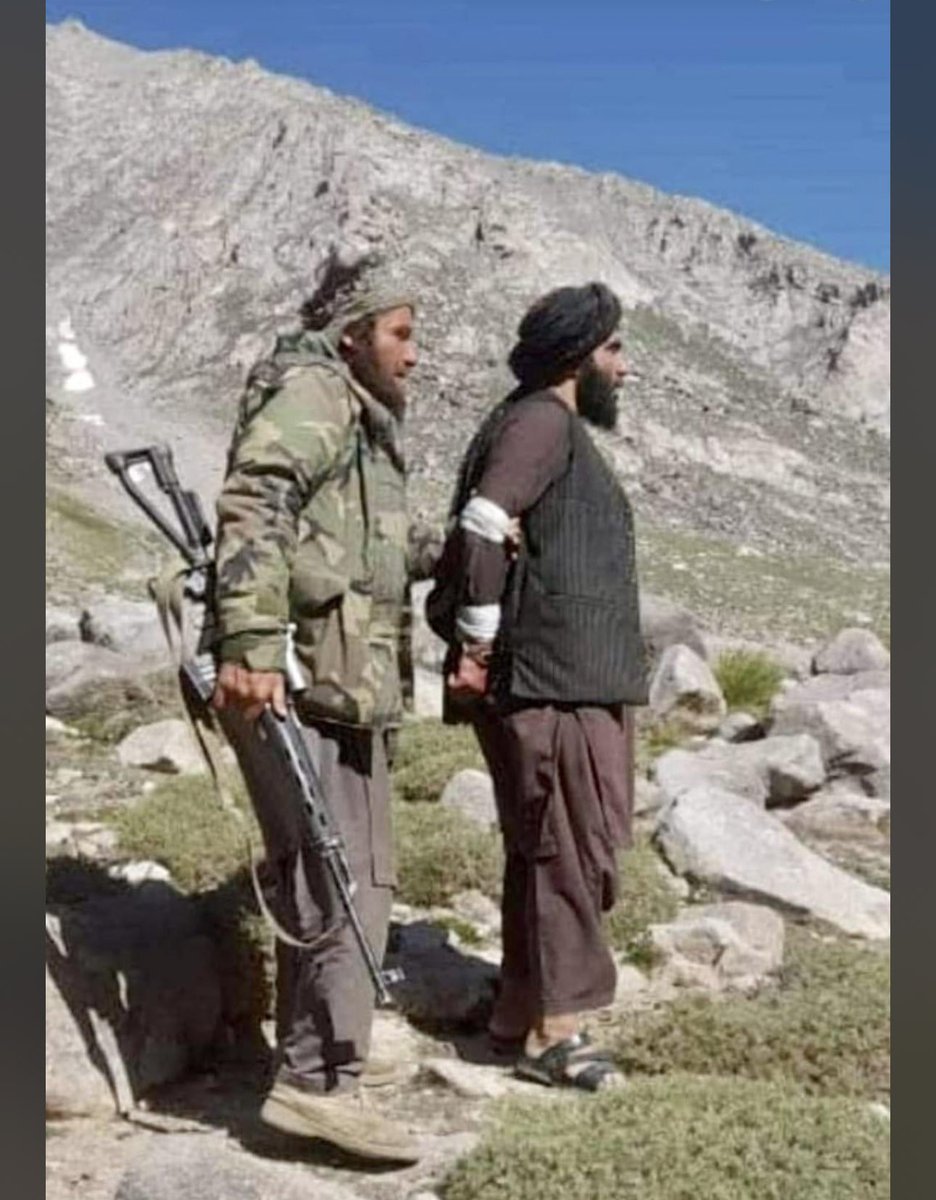 abu saeed Heravi tweet media