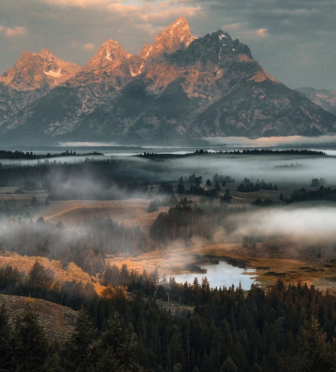 𝘄𝗮𝗻𝗱𝗲𝗿𝘁𝗿𝗮𝘃𝗲𝗹𝘀 tweet media