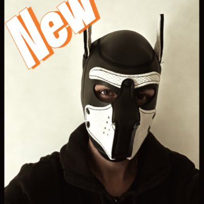skyrompup's tweet photo. #NouvellePhotoDeProfil

Ça y est, le première hood… et nouvelle découverte ce week-end à Paris… qui veut être mon puppy d’appartenance ?

#puppyhood #puppy #cosplayㅤㅤㅤㅤㅤㅤㅤ #puplay https://t.co/80STKWNOXA