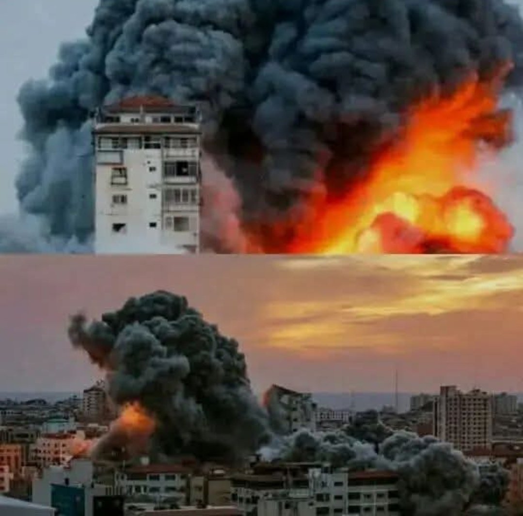 نجلاء. tweet media