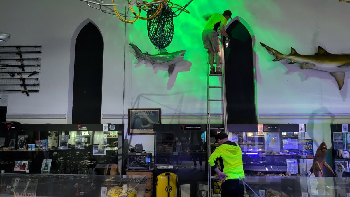 RodneyFoxMuseum's tweet photo. Late night at the museum for the boys getting some brand-new sound deadening panelling installed over the windows and it’s already transforming the atmosphere.

With several large groups booked in today, including one group of almost 50 visitors.
#foxtozermuseum #sharkmuseum https://t.co/g6BgjHCxm3
