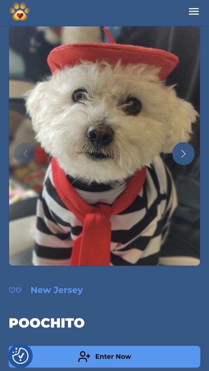 ZapataRex's tweet photo. Every bit counts. 💐🌹💜 I'll share Rex later.
Vote for my entry Poochito at https://t.co/Fect0j3lgL https://t.co/8L9G3tHeIw