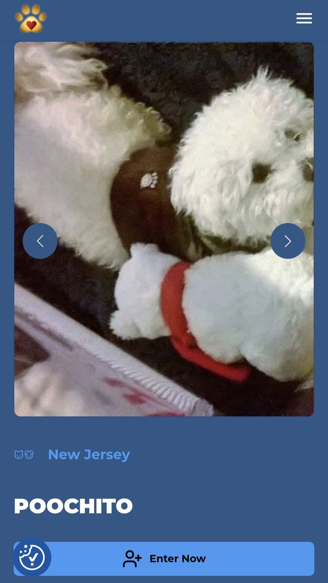 ZapataRex's tweet photo. Every bit counts. 💐🌹💜 I'll share Rex later.
Vote for my entry Poochito at https://t.co/Fect0j3lgL https://t.co/8L9G3tHeIw