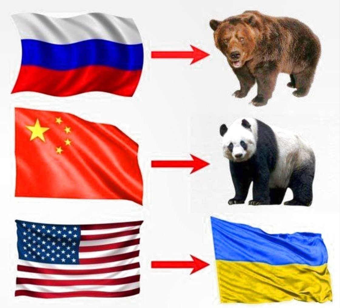 Aleksander 🇵🇱🇷🇺🇵🇸✊🏿 tweet media