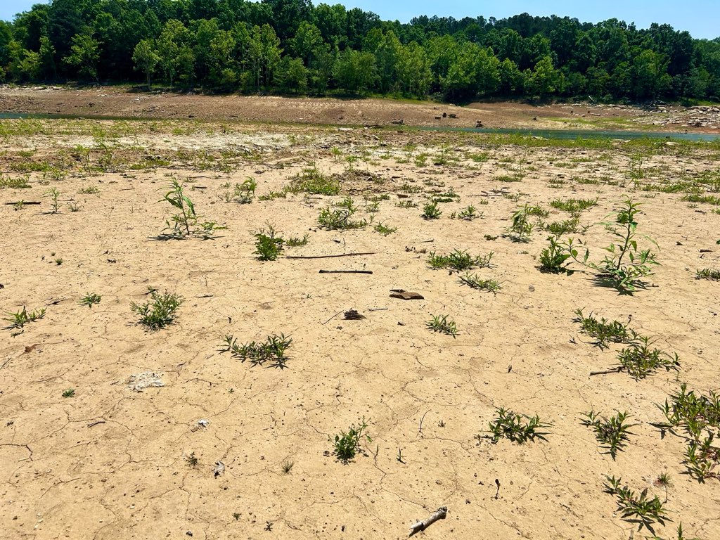 JSchipperWDRB's tweet photo. IMAGES: drought causing Rough River to be down 16’ ahead of a busy Memorial Day boating weekend @WDRBNews 5/6p https://t.co/DJw0qGZ1Sl