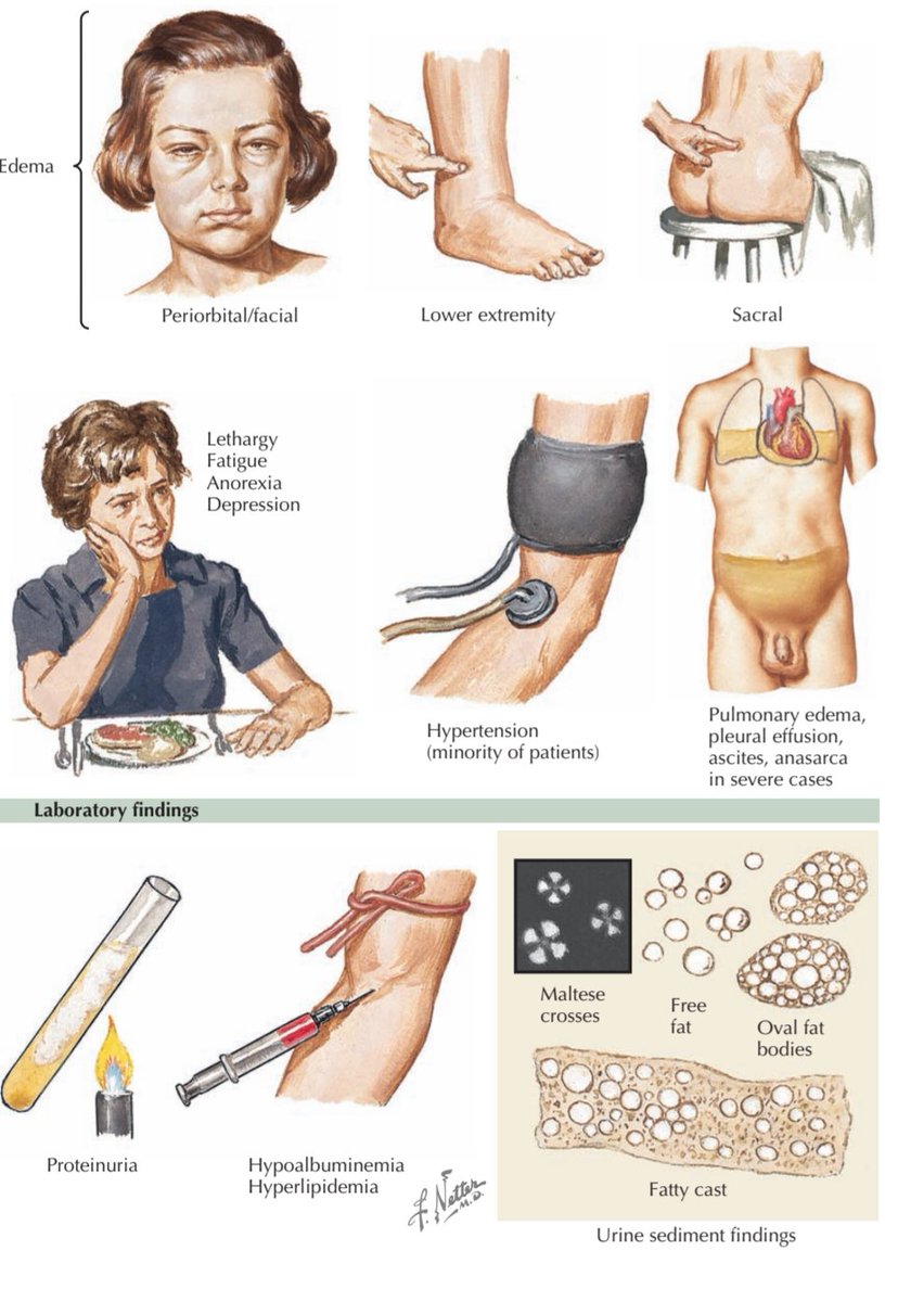 CardiovascularCorner tweet media