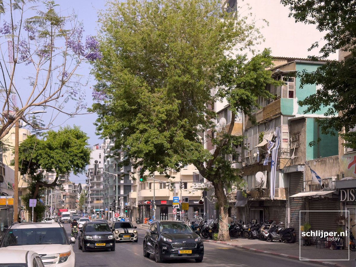 schlijperisrael's tweet photo. #treesTLV
Tel Aviv, Shalma, HaAliya
18/05/2026, 09:33 https://t.co/rUNo1KQeI8