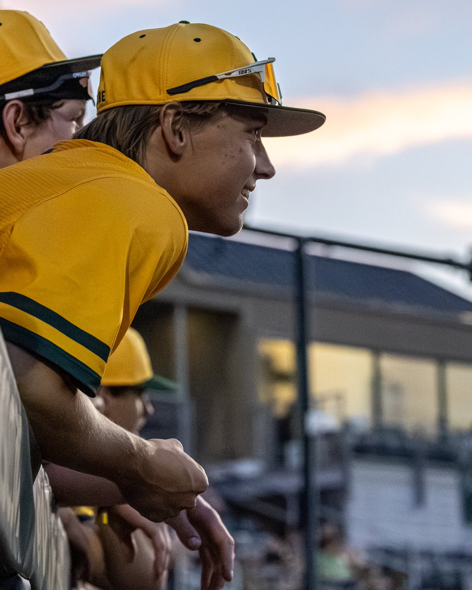 William & Mary Tribe Baseball tweet media