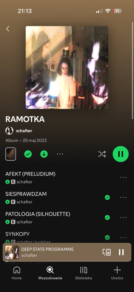 Czy Schafter wydał dzisiaj nowy album? tweet media