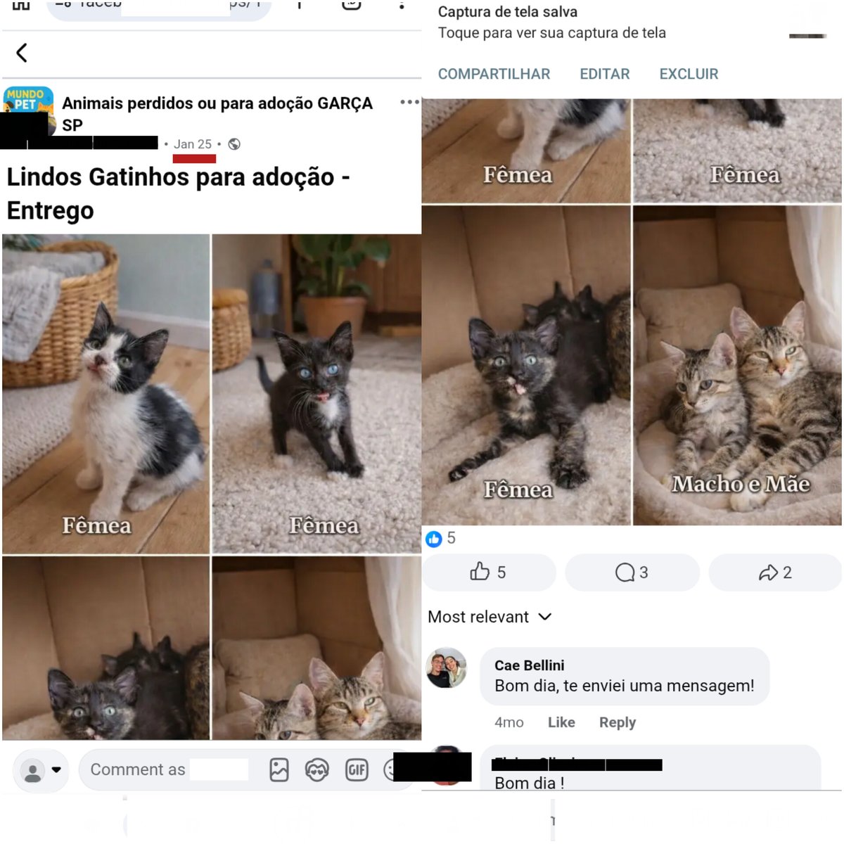 Bosnilie tweet media