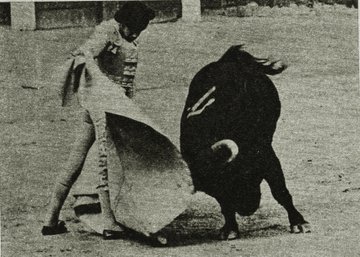 portaltaurino's tweet photo. Hoy hace 55 años confirma en @LasVentas_ el diestro mexicano Curro Rivera con "Beluco" de @LosSamueles
al que corta oreja, padrino fue Antonio Bienvenida que reaparece por última vez esa tarde y saluda, y testigo Andrés Vázquez, fotos El Ruedo https://t.co/v6TVnh7taq https://t.co/6XZrgvAXR4