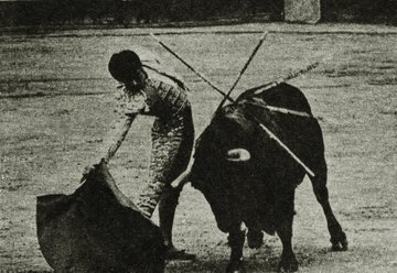 portaltaurino's tweet photo. Hoy hace 55 años confirma en @LasVentas_ el diestro mexicano Curro Rivera con "Beluco" de @LosSamueles
al que corta oreja, padrino fue Antonio Bienvenida que reaparece por última vez esa tarde y saluda, y testigo Andrés Vázquez, fotos El Ruedo https://t.co/v6TVnh7taq https://t.co/6XZrgvAXR4