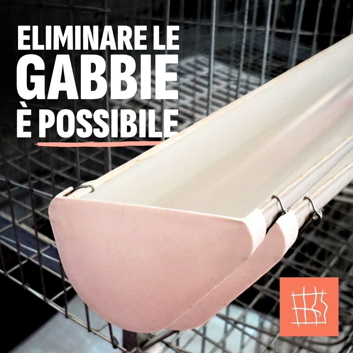 CIWF_IT's tweet photo. Milioni di animali trascorrono l'intera vita in uno spazio così piccolo da non riuscire nemmeno a girarsi.
Non è un'immagine. È la realtà quotidiana dell'allevamento intensivo.
❌ E le tue tasse la finanziano. https://t.co/hX5lyT5BtD