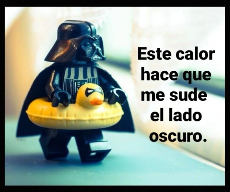 Pauliz tweet media