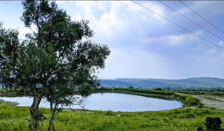 extinctkid's tweet photo. Punjab of Pakistan is on par with Italian countryside. https://t.co/oWDSUpUIG6