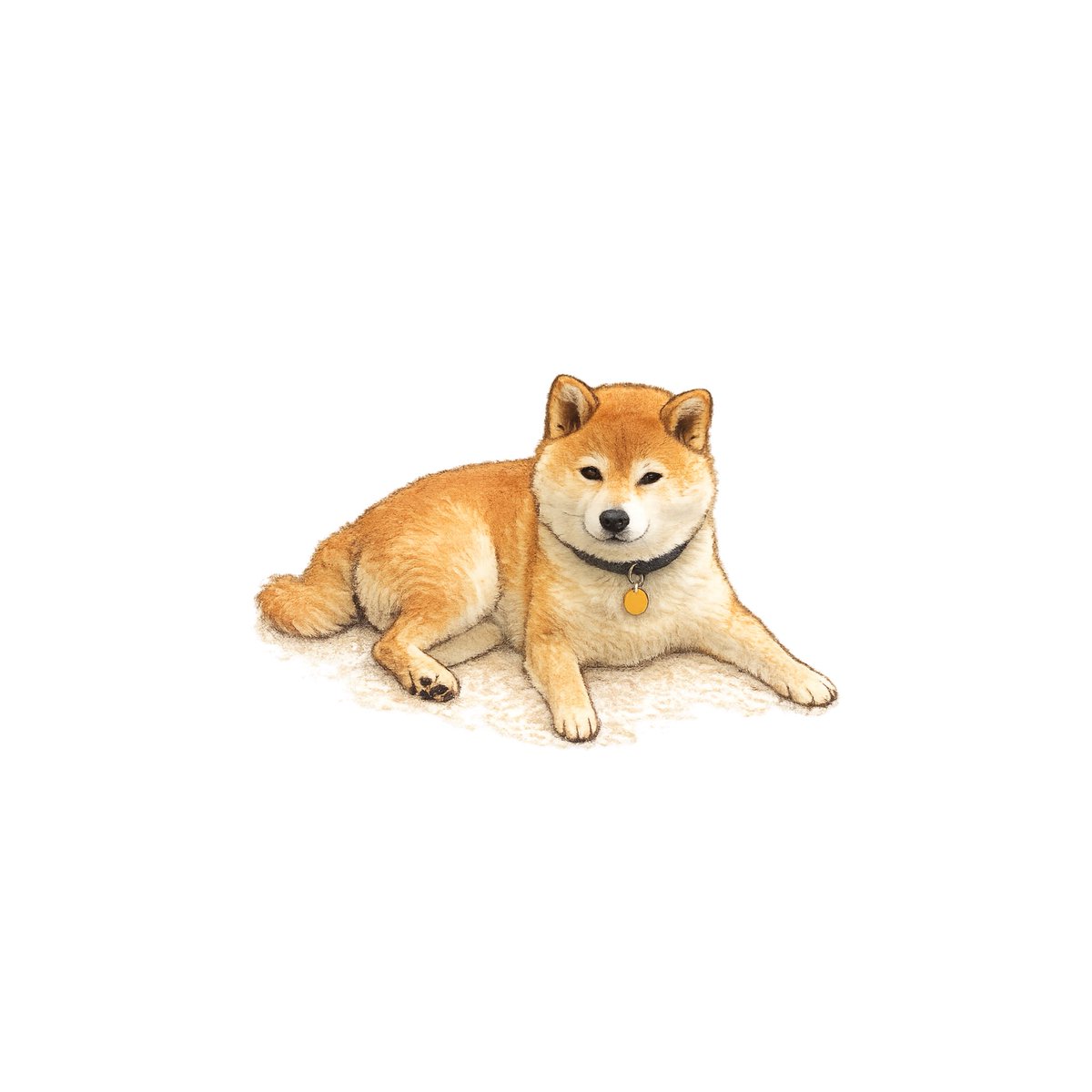 古関 tweet media