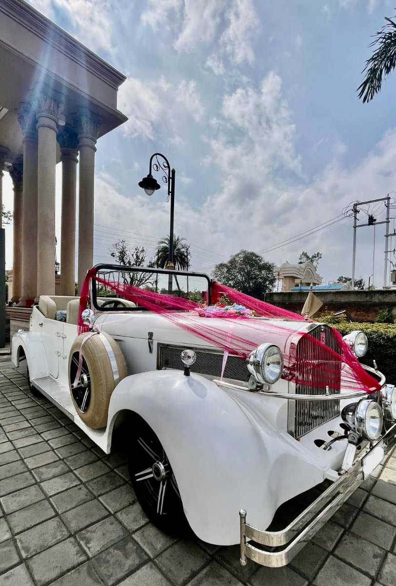 RajshriBand's tweet photo. ✨The Royal Ride Awaits ✨
Elevate your baraat entry and photoshoot with our exquisite, vintage luxury wedding car.

Rajshri Music Band Bhopal
9827278828 | 9770040008

DM us for bookings &amp; enquiries 
#vintagecars #groomentry #indianwedding #bandbajabride #baraatonwheels #bhopal https://t.co/gvqb5CWoIA