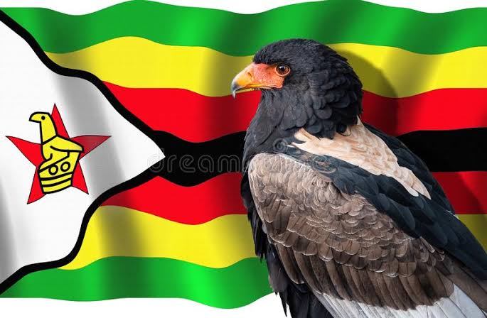 ErkaniHarbiyye's tweet photo. 💢Zimbabwe’de ZANU–PF iktidardan düşerken bir ara logoyu bayraktaki Zimbabwe kuşuna çevirdi sonra muhalefet, ülke sembolü olan Zimbabwe Kuşunu lidere sokmak için yemin etti. Sonra lider parti logosunu yine değiştirdi ağaç yaptı. Bu kez sokaklarda teşkilat yöneticilerinin makatına ağaç sokuyolardı. Üzülerek izlemiştim.

AKP kurulurken bence bu günleri görerek akıllıca logo seçmiş.