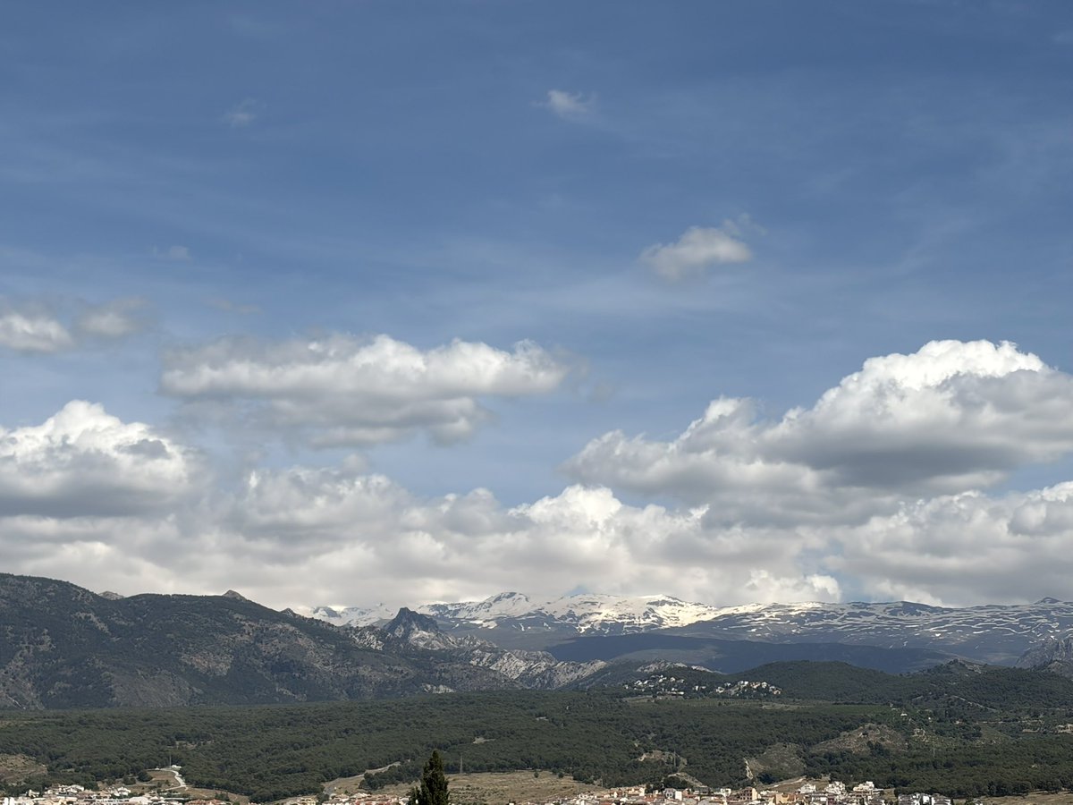 tiempo en Granada tweet media