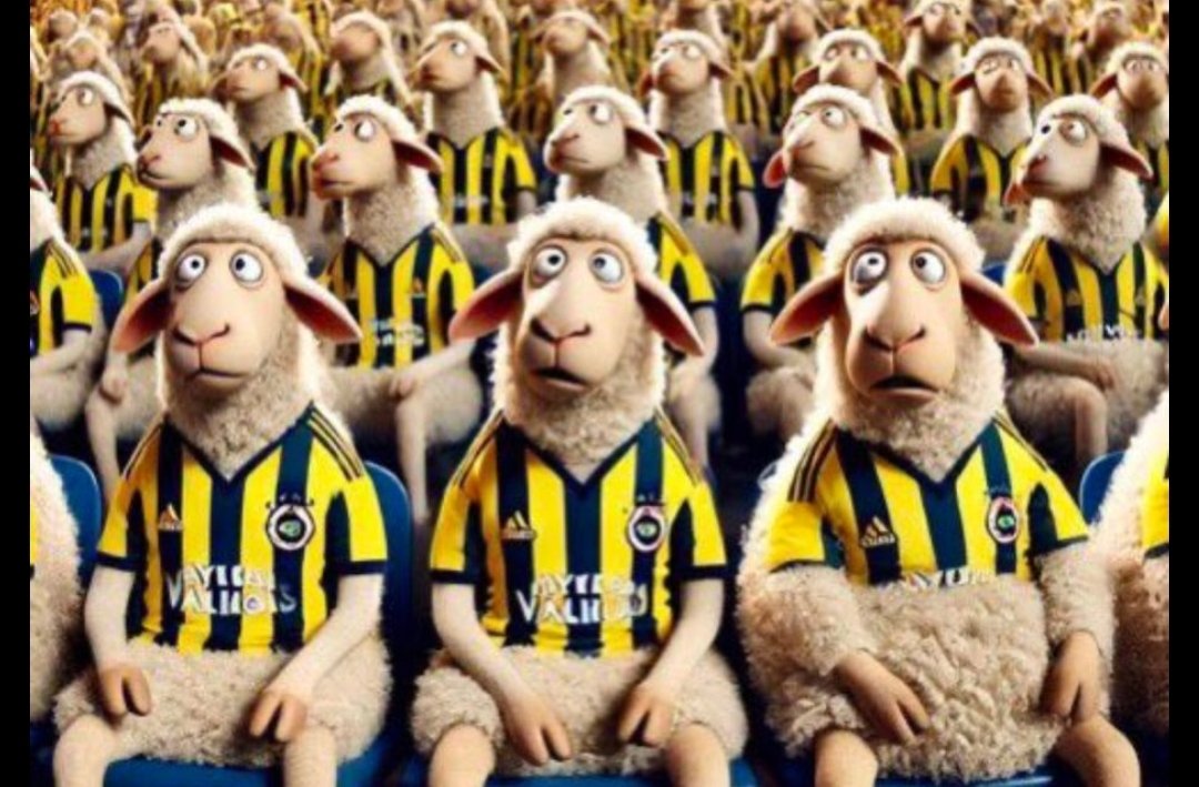 Özgür tweet media
