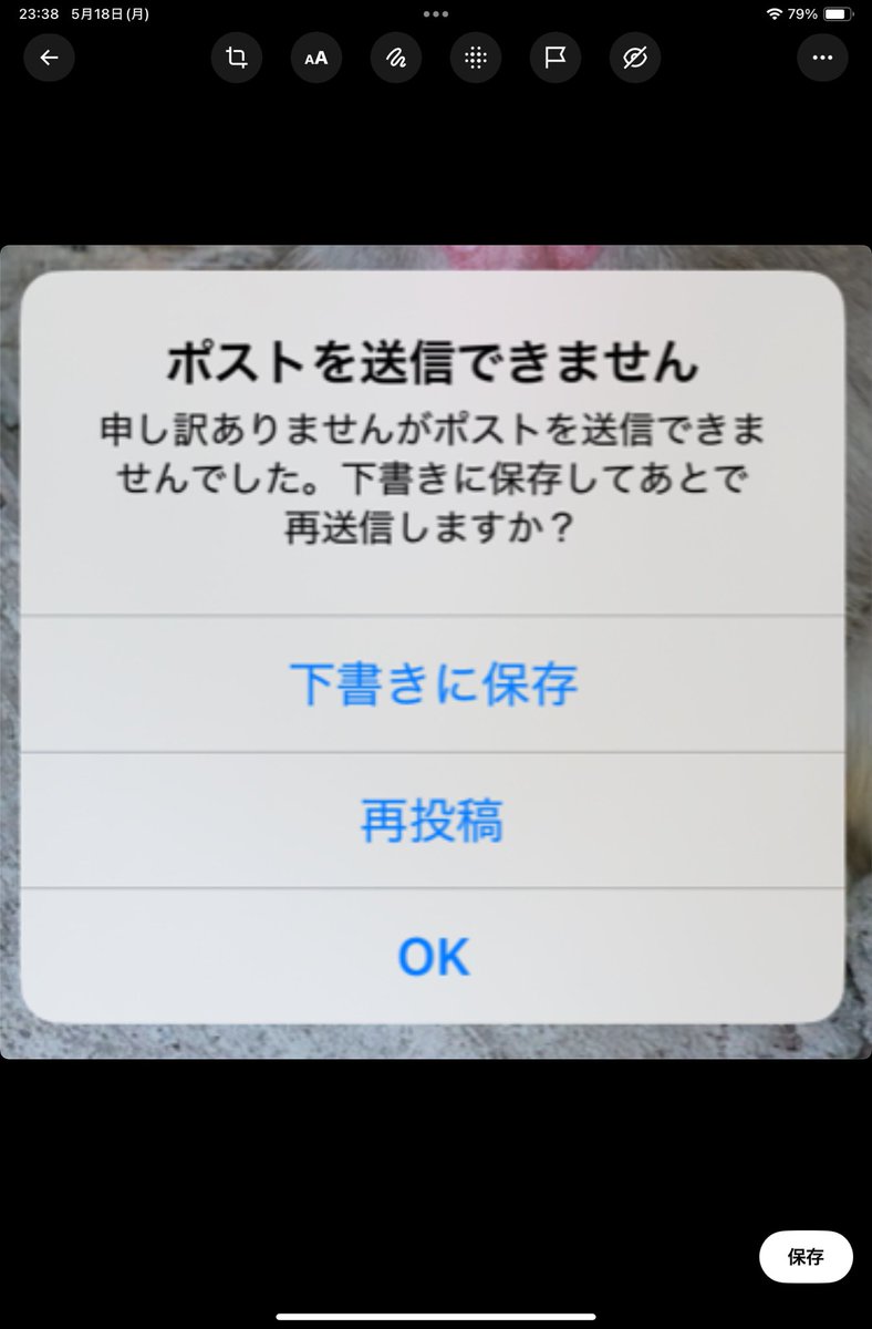 Post by ハニーラテ🍯☕️/ぐーふ📸 on X: なのです！