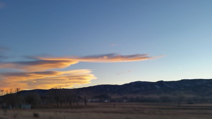 Metazoaart's tweet photo. Art of the Day! "Long Trips". Buy at: https://t.co/SPTb1KPlie https://t.co/cKfUzgoHF8