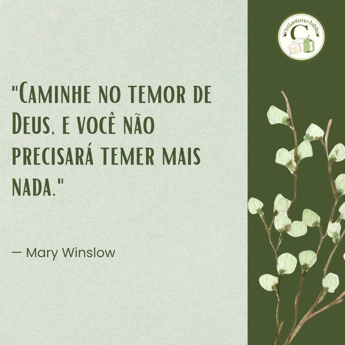 CristianismoBi1's tweet photo. https://t.co/1YELe4qdqM https://t.co/hFwvS9xBE3