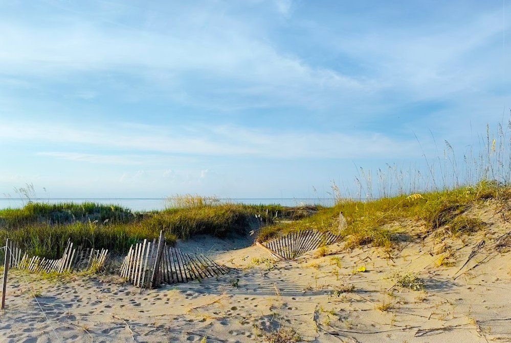 fdtuop's tweet photo. On A Whim
Just a few thoughts on how anxiety and trauma play a role in ruining our joy.
https://t.co/0grhF6U5qQ
#Mindfulness #Breathe #WalkingMeditation #Awareness #Zen https://t.co/MMgjANUzWF