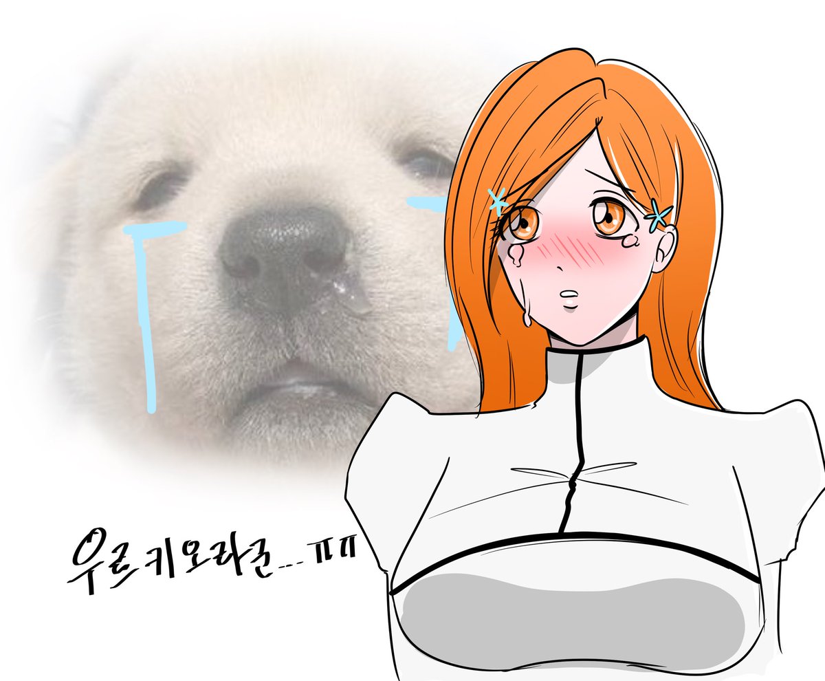 쿠마 tweet media